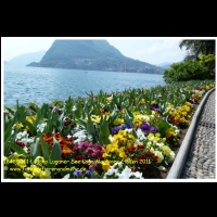 18485 101 Lugano Luganer See Lago Maggiore Italien 2011.JPG